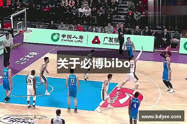 关于必博bibo